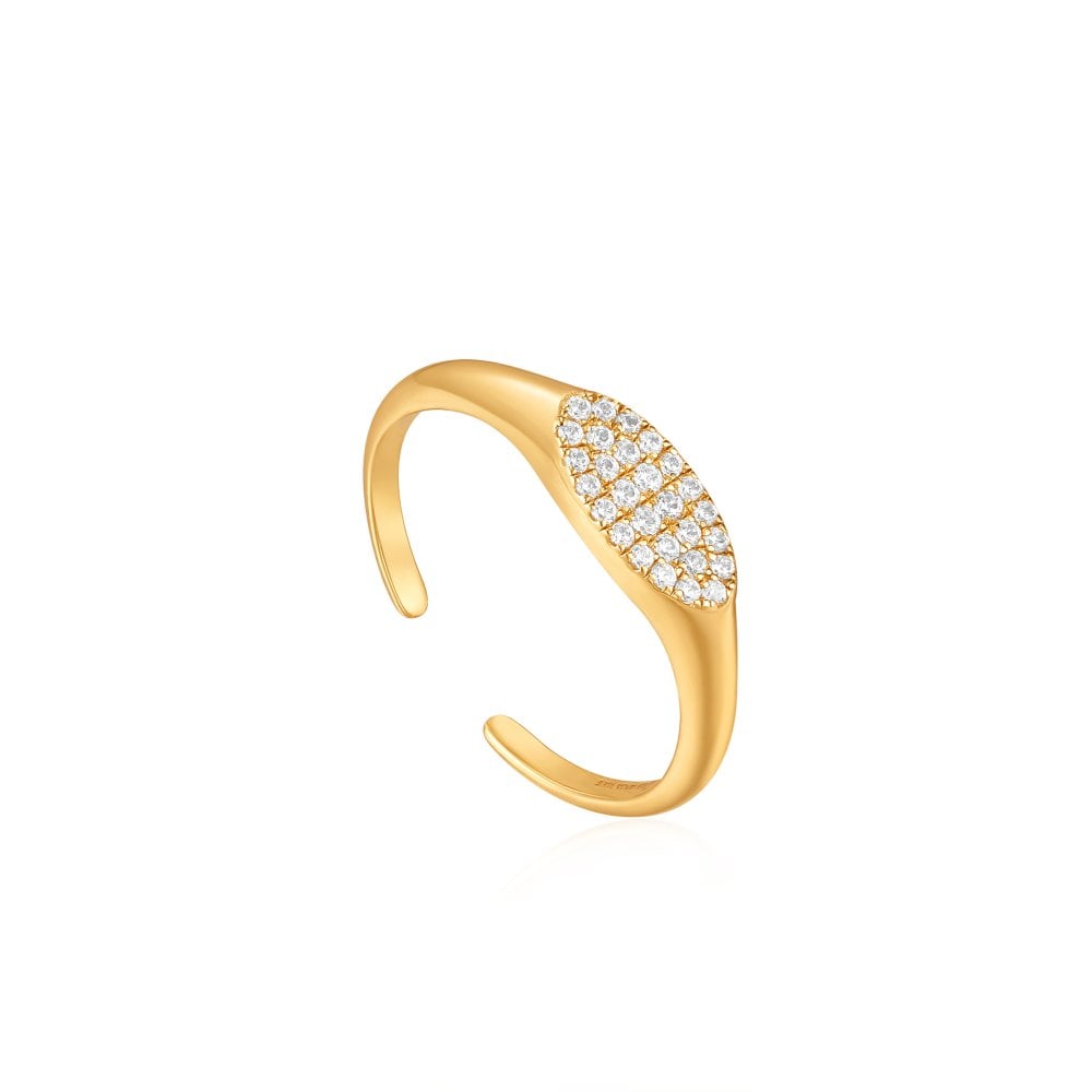 Ania Haie Gold Glam Adjustable Signet Ring image 0