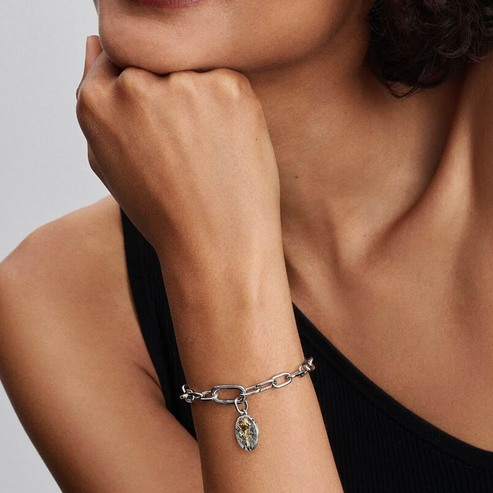 PANDORA Rose Medallion Charm 764087C00