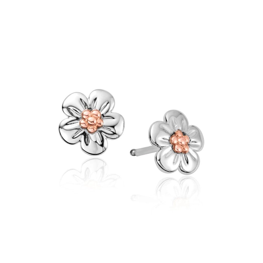 Clogau Nature's Wonder Sterling Silver Forget - Me - Not Stud Earrings 3SFMN0621262235
