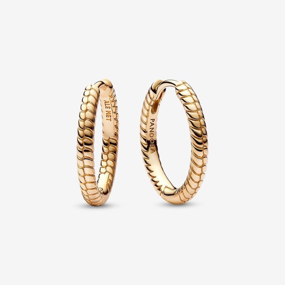 PANDORA Moments Small Charm Hoop Earrings 262728C00