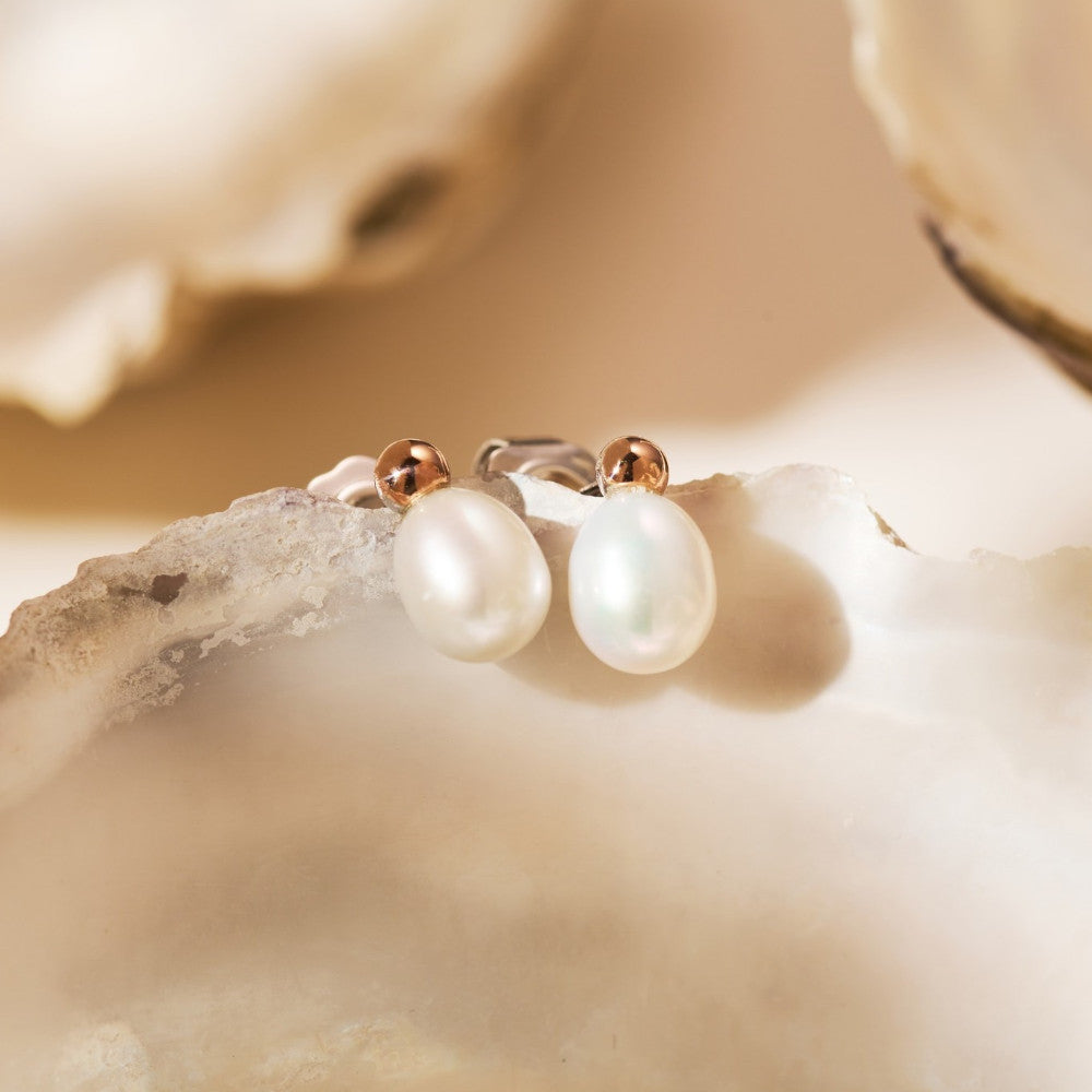 Clogau Nature's Wonder Sterling Silver Beachcomber Stud Earrings with Pearls 3SBCH0632