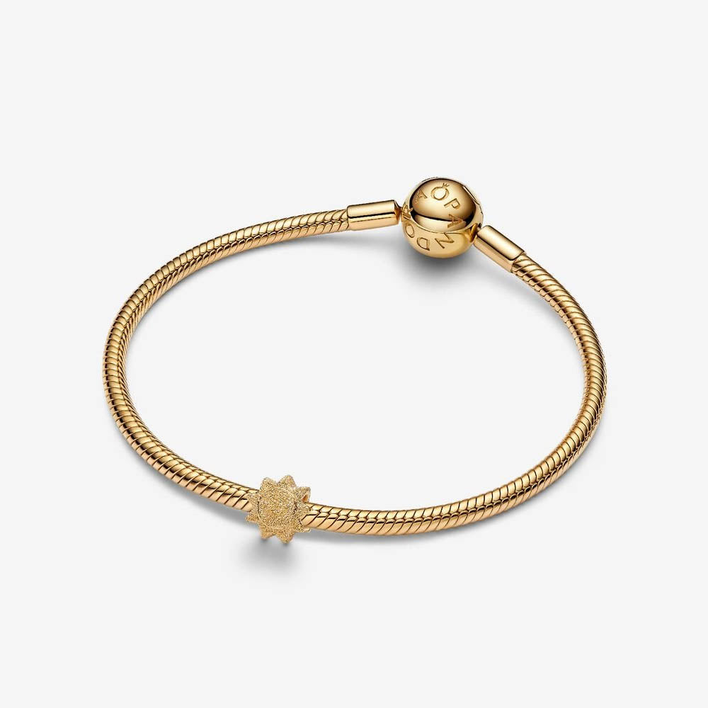PANDORA Textured Sun Mini Charm 764052C00