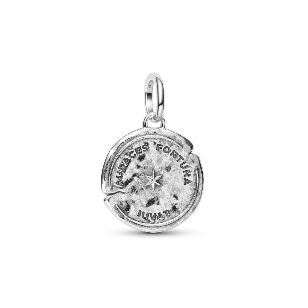 PANDORA Dolphin Medallion Charm 794807C01