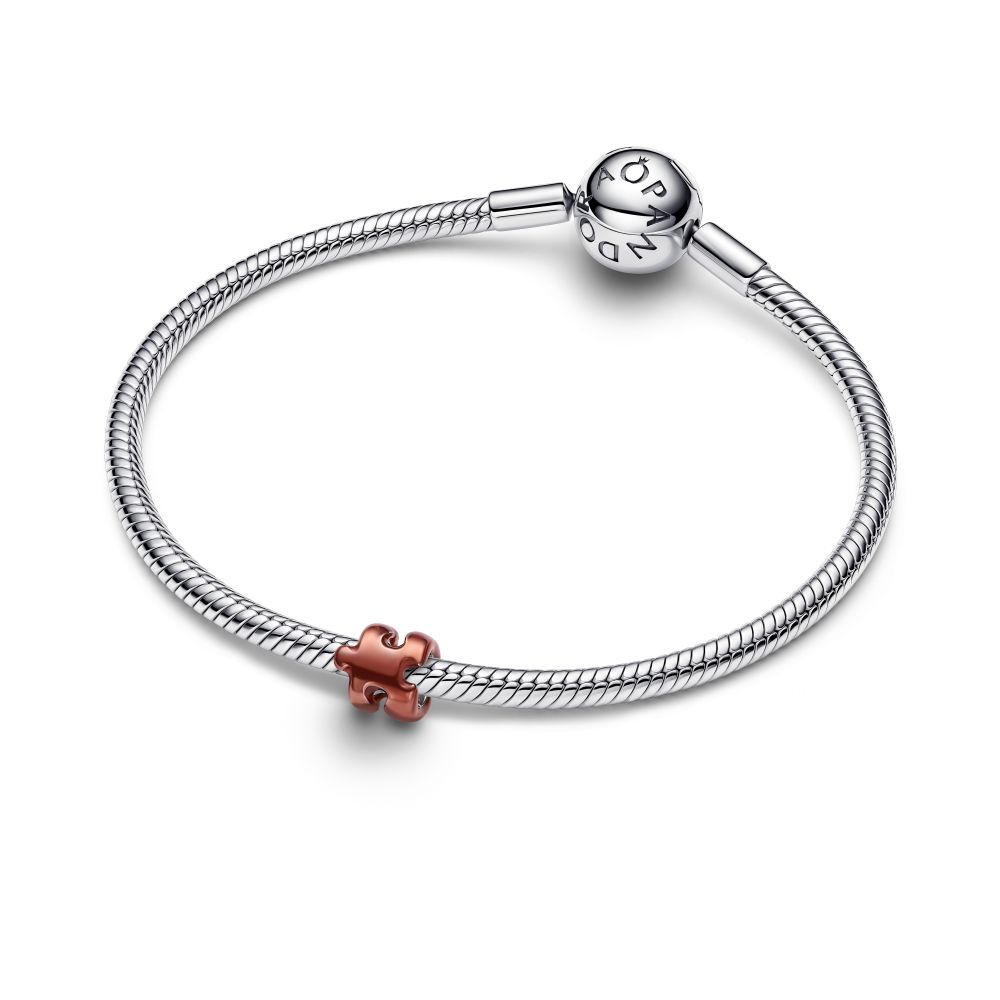 PANDORA Puzzle Mini Charm 794816C01