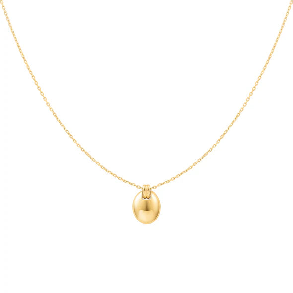 Ania Haie Gold Oval Charm Necklace N062-03G