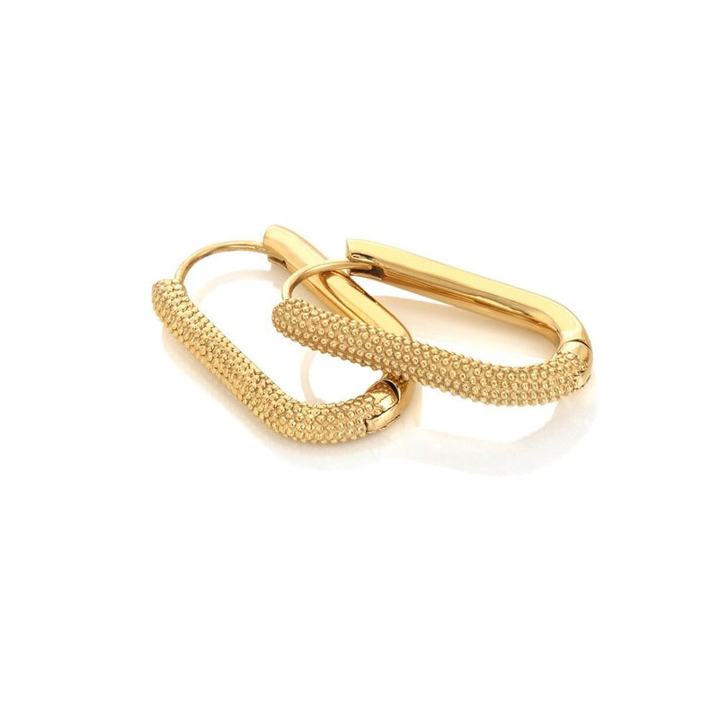 Ava & Sky Carabiner Link Earrings ASE0011ASE0011