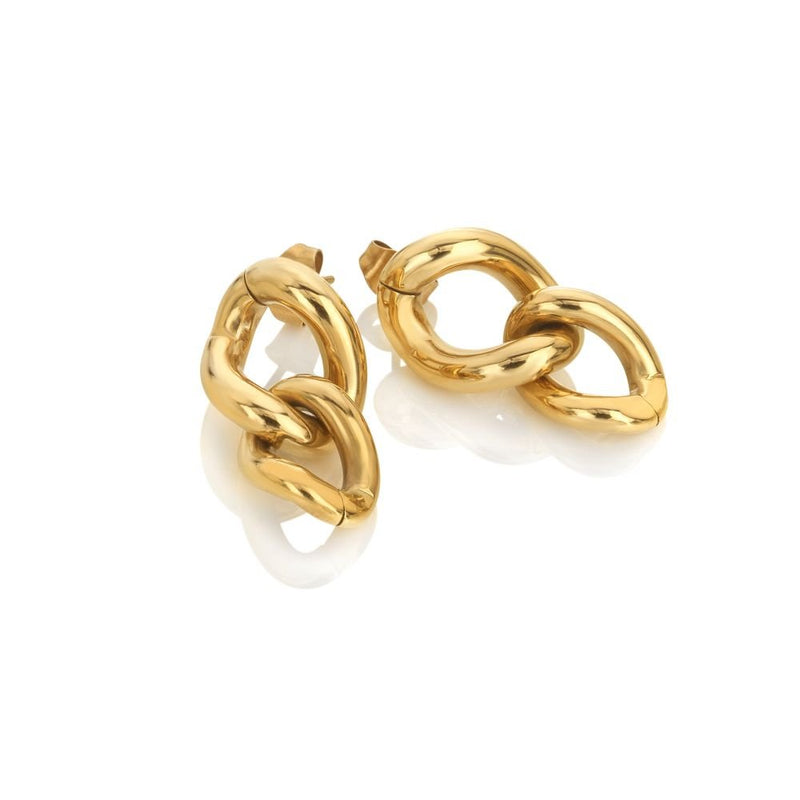 Ava & Sky Link Earrings ASE0013ASE0013