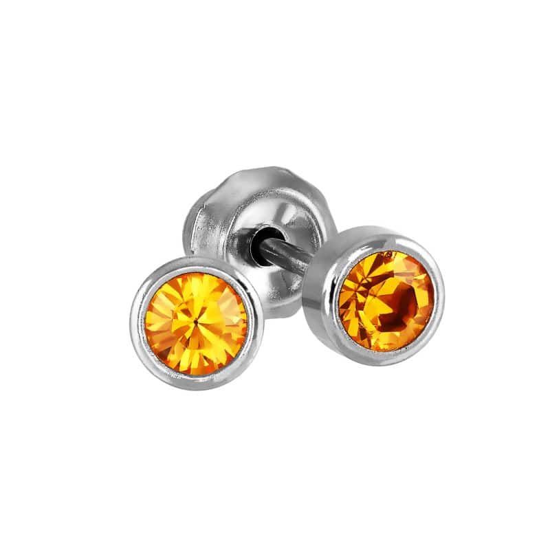 Stainless Steel 4mm November Birthstone Bezel Set Stud Earrings