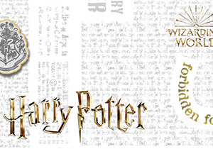 Harry Potter Jewellery 300x210