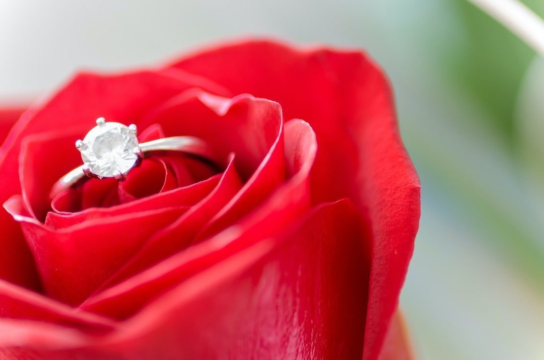 engagement ring in the rose